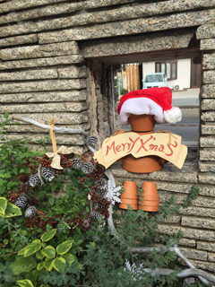 20171117xmas.jpg